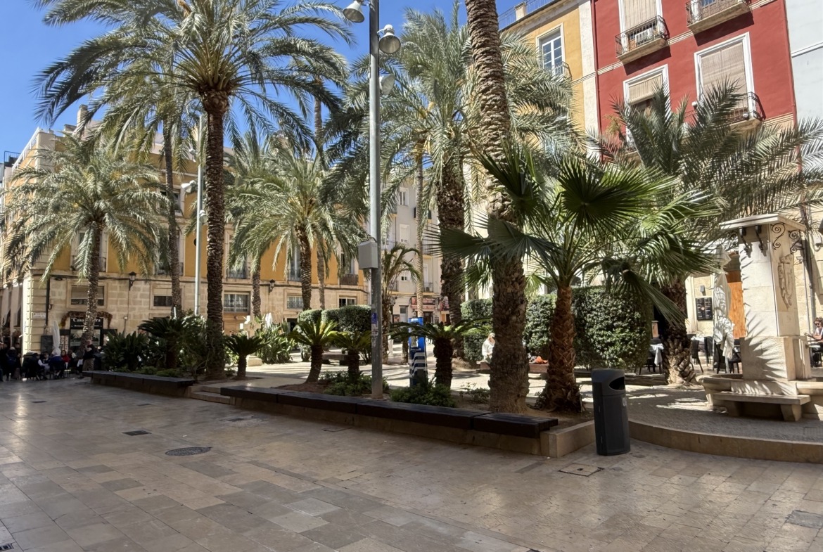 Lonja de Caballeros: Tradición y Luz en el Corazón de Alicante