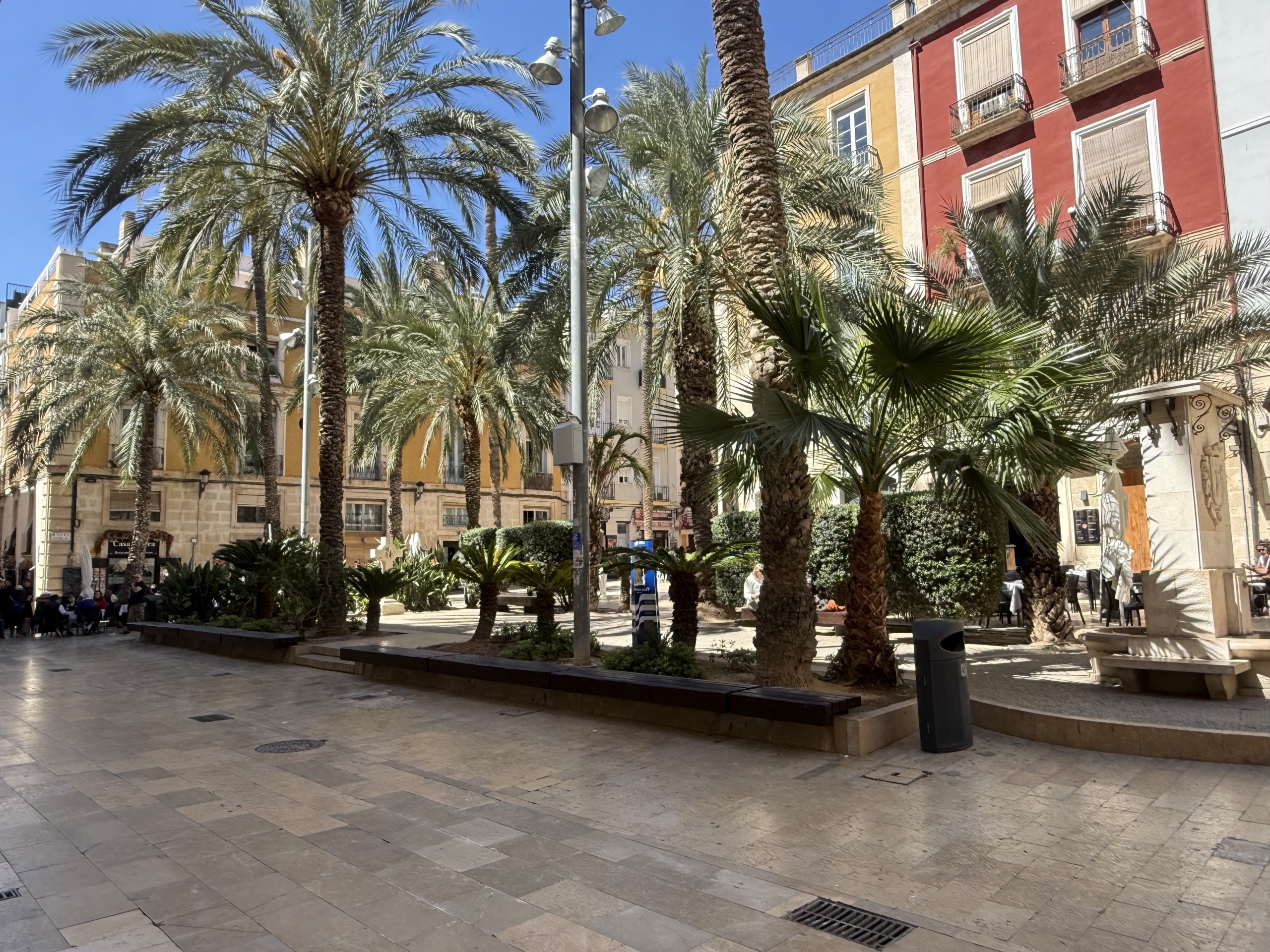 Lonja de Caballeros: Tradición y Luz en el Corazón de Alicante