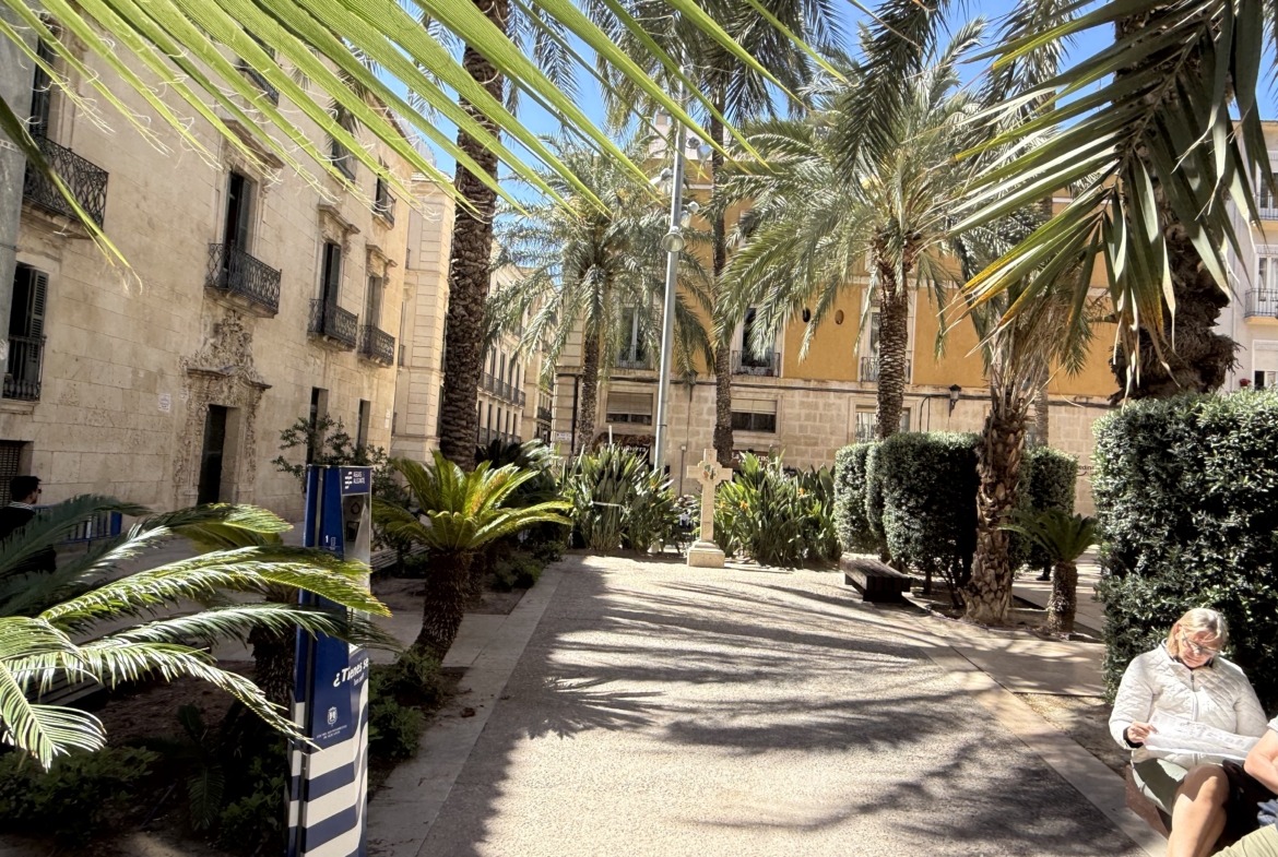 Lonja de Caballeros: Tradición y Luz en el Corazón de Alicante