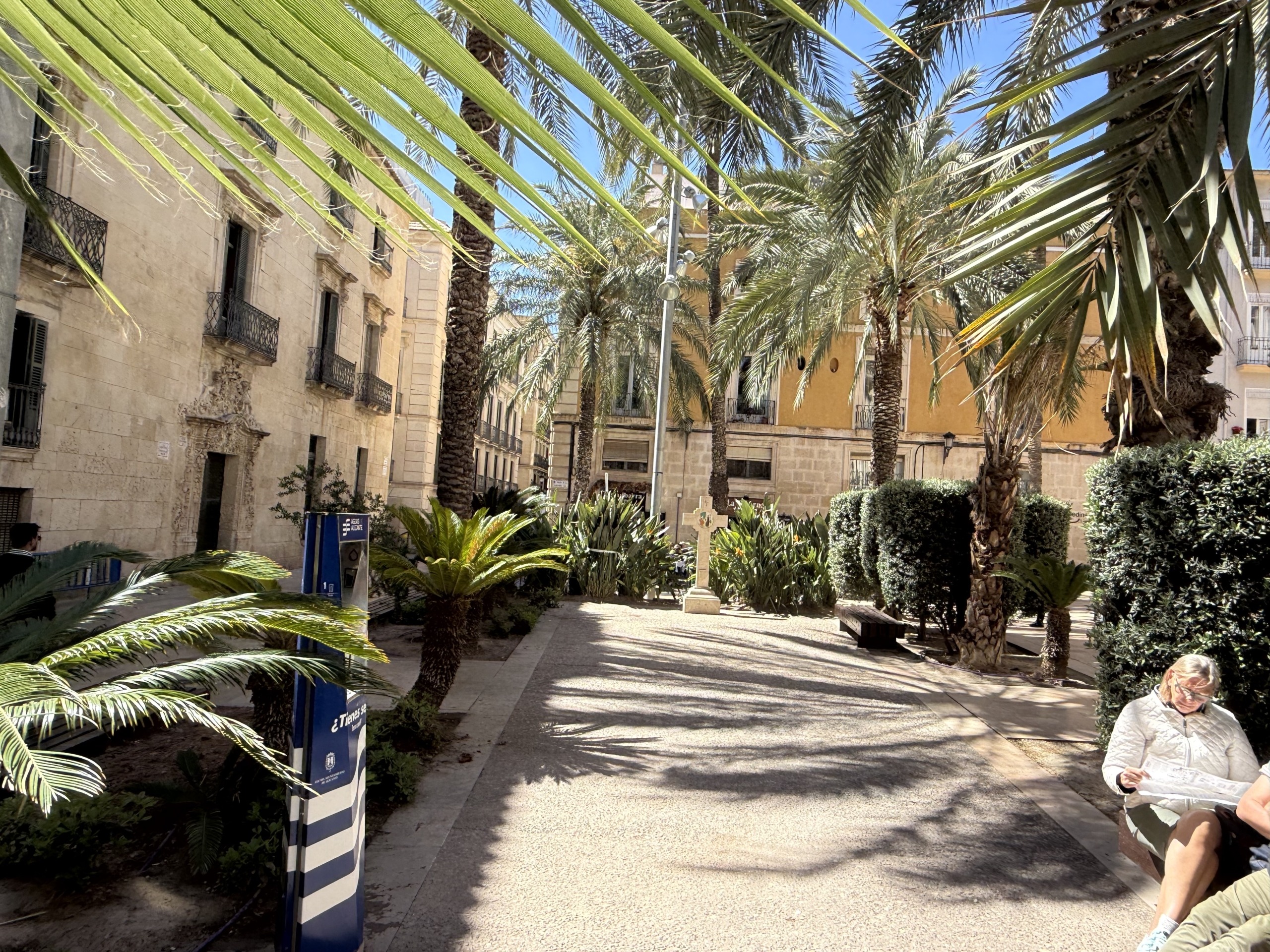 Lonja de Caballeros: Tradición y Luz en el Corazón de Alicante