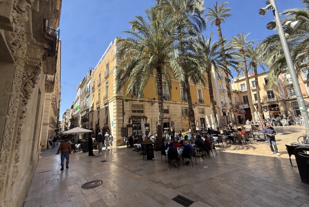 Lonja de Caballeros: Tradición y Luz en el Corazón de Alicante