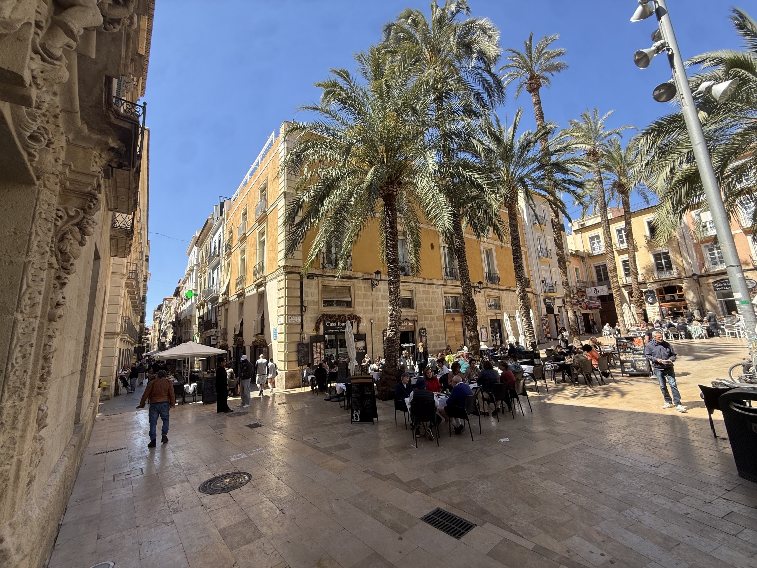Lonja de Caballeros: Tradición y Luz en el Corazón de Alicante