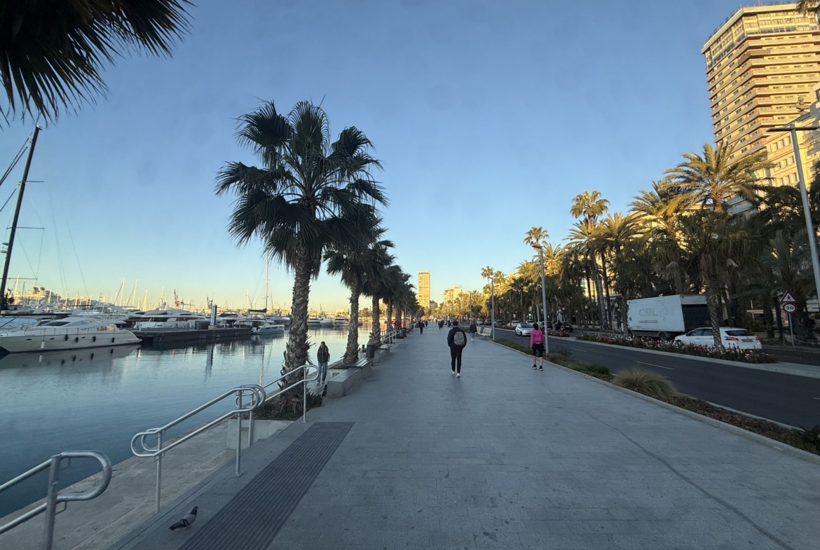 Lonja de Caballeros: Tradición y Luz en el Corazón de Alicante