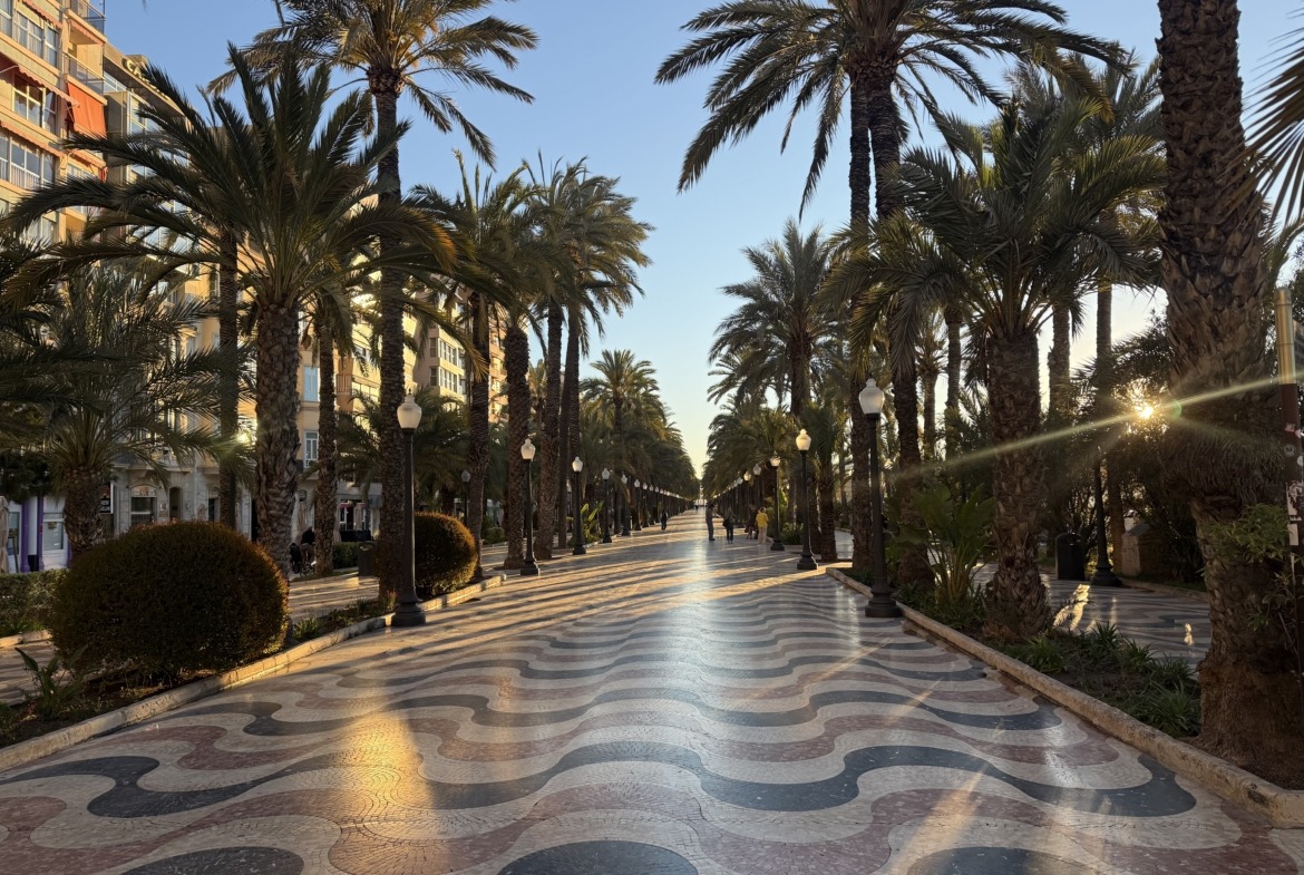 Lonja de Caballeros: Tradición y Luz en el Corazón de Alicante