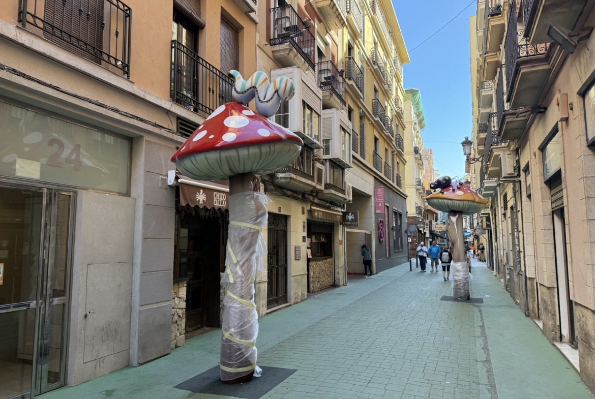 Lonja de Caballeros: Tradición y Luz en el Corazón de Alicante