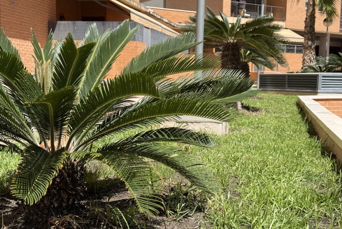 Piso en venta en PAU 1 Alicante con terraza y urbanización completa