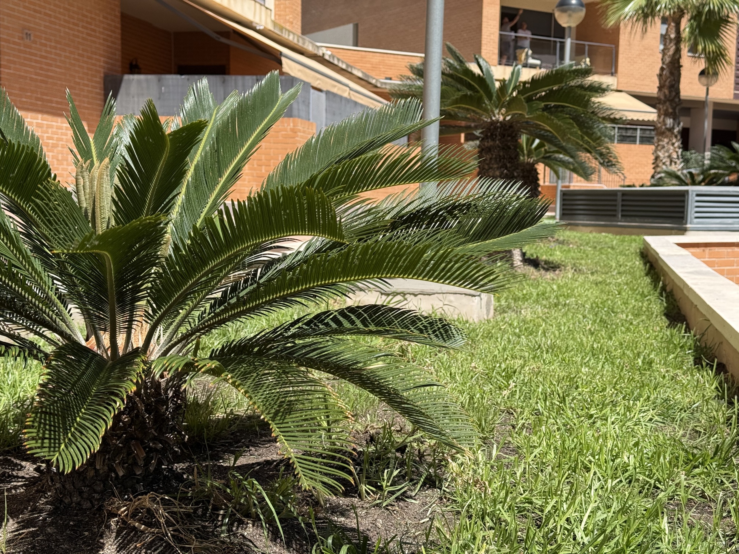 Piso en venta en PAU 1 Alicante con terraza y urbanización completa